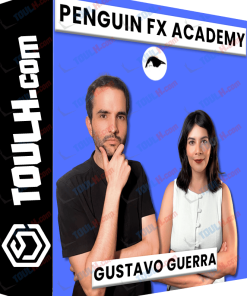 descargar curso Gustavo Guerra